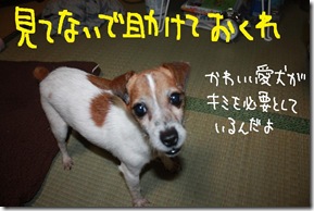 今日カズ１００４０５　６