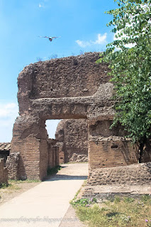 Coliseu, Fórum Romano e Arredores - Itália