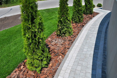 What to Look for in Madison, WI, Landscaping Companies