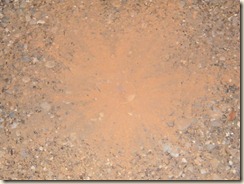 DSCF6534