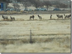 DSCN2948