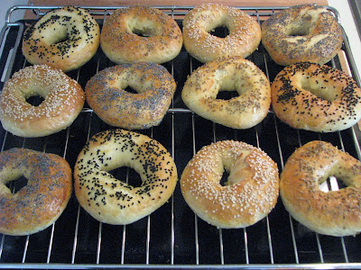 new york usulu bagel 7