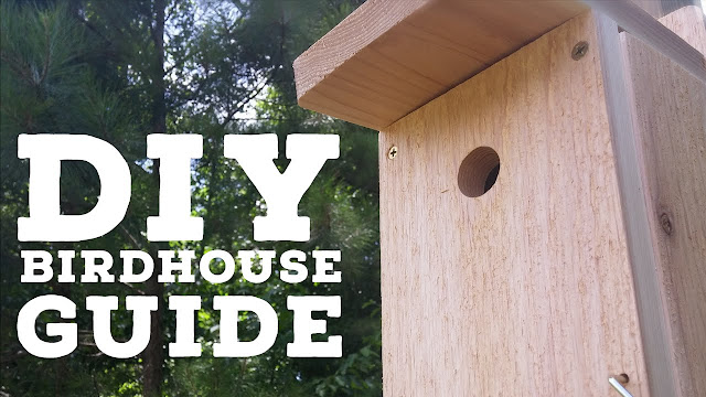 The Birds House