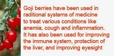 dried goji berries health benefits