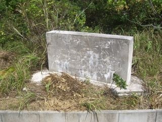 CIMG6186