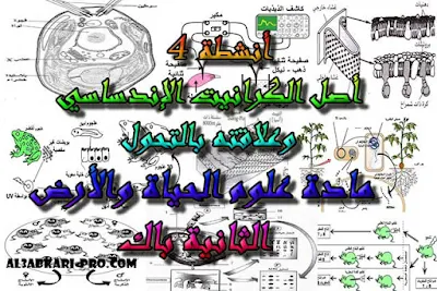 تحميل أنشطة 4: أصل الكرانيت الإندساسي وعلاقته بالتحول للسنة الثانية باك , درس , ملخص , تمارين , امتحانات وطنية علوم الحياة والارض , علوم الحياة والارض , فروض علوم الحياة والارض , الثانية باك , بكالوريا , دروس اونلاين