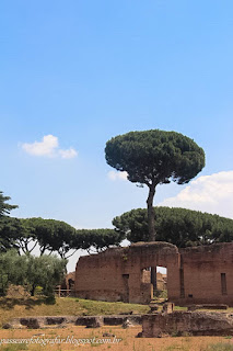 Coliseu, Fórum Romano e Arredores - Itália