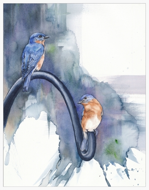 birds watercolor paintings