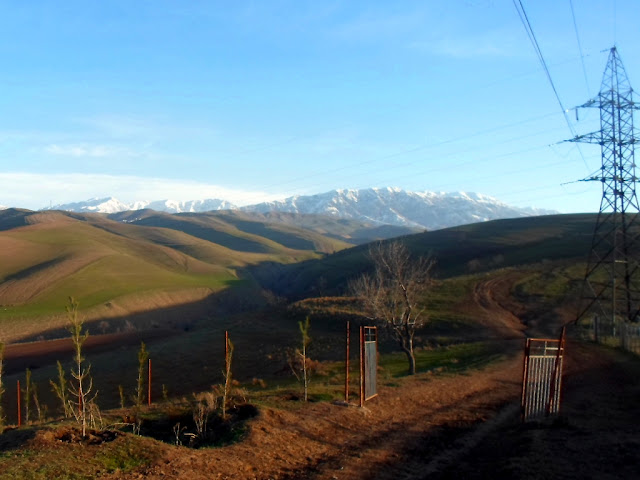 Hills behind Victory Park in Dushanbe, Tajikistan