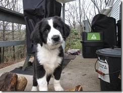 Beau_Week13_HowHelpU