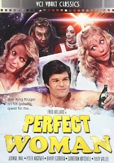 The perfect woman (1981)