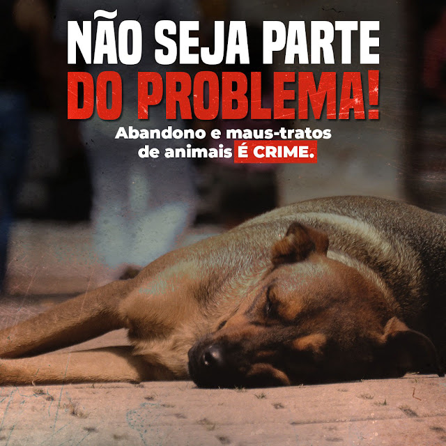 Abandono e maus-tratos de animais, É CRIME!