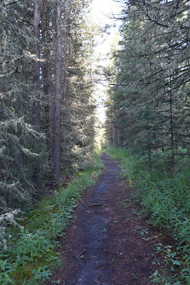 The Great Trail Quaite Valley.