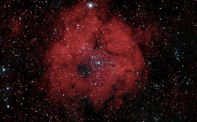 IC 1396, nebulosa "Trompa d'elefant"