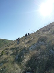 P1050791
