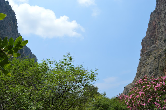  Butterfly Valley