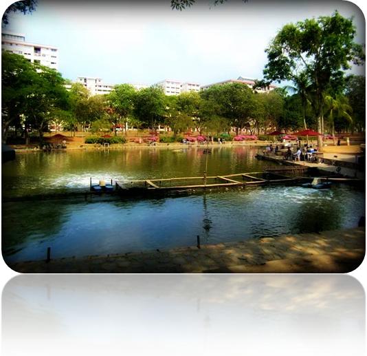 Pasir Ris Main Pond