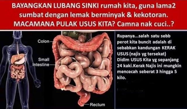 USUS TERSUMBAT