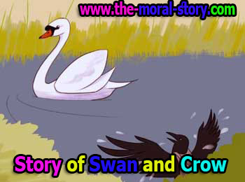 story of swan and crow in english