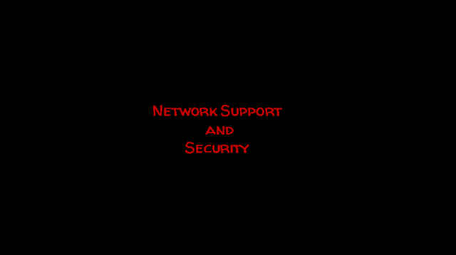 Network Support and Security Final Exam Answers