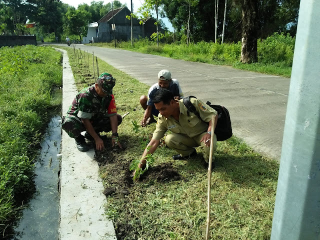 Babinsa Wonosari  Tanam Bunga Refugia Sepanjang Jalan Desa