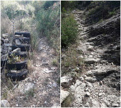 GR-7 Coll de la Teixeta a Arbolí, corriol a la zona de l'Hort de la Costa a Arbolí