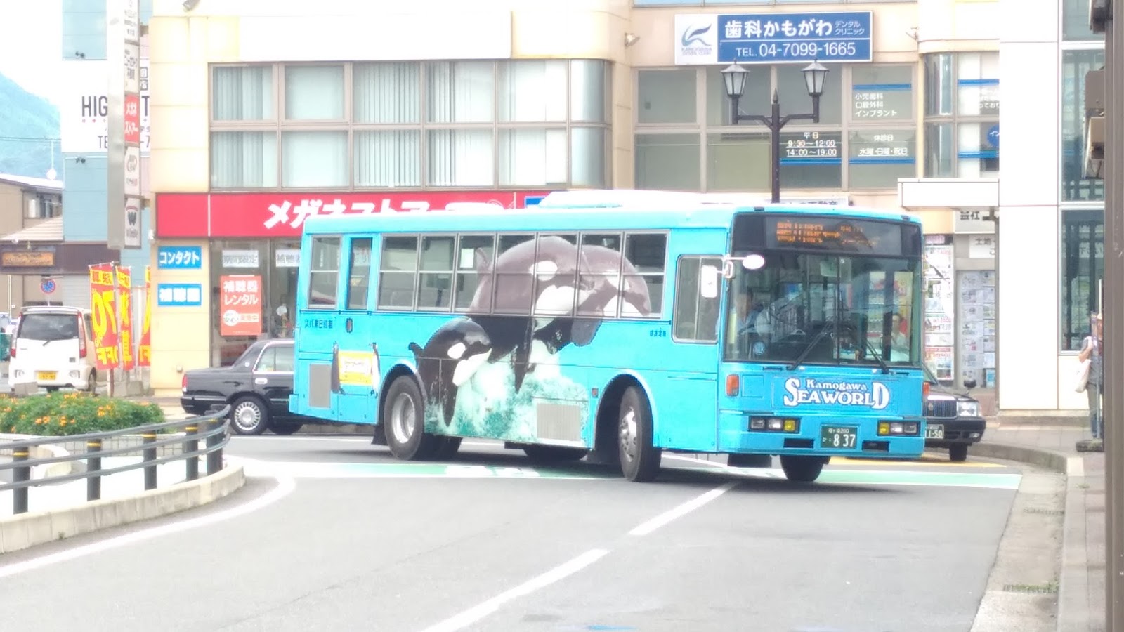 旅行記 水族館 鴨川シーワールドへ東京駅からバスで行ってきた