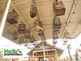 hasil lomba burung klaten, hasil lomba burung terbaru 2018, hasil lomba burung sragen, hasil lomba rajawali indonesia, burung new, jadwal lomba burung, daftar juara bnr semarang, hasil lomba agrobur, daftar juara bnr award 2017, daftar juara lomba burung kapolres cup sragen, kontes burung surabaya, video kontes burung lovebird, kontes burung murai, kontes burung anis, kontes burung kacer, kontes burung pleci, kontes burung kenari, kontes burung merpati, kontes burung konin, hasil lomba piala kapolres metro jakarta selatan, piala kapolres metro jakarta selatan, daftar juara piala kapolres metro jakarta selatan, daftar pemenang piala kapolres metro jakarta selatan, latber kalen sepur bc, latber ksbc, latpres kalen sepur bc, latpres ksbc, daftar juara latber exclusive kalen sepur bc, hasil lomba latber kalen sepur bc, hasil lomba ksbc, daftar juara latber ksbc, daftar pemenang latber ksbc, daftar juara latpres kalen sepur bc, daftar juara latpres ksbc, daftar pemenang latpres kalen sepur bc, daftar pemenang latpres ksbc, hasil lomba latpres ksbc, hasil lomba latpres kalen sepur bc