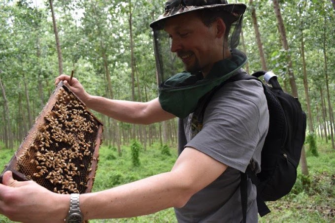 3 properties that a beekeeper should keep in his mind before starting beekeeping