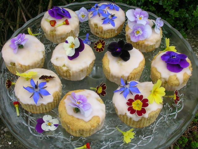 types of edible flowers Chocolate Cake with Edible Flowers | 640 x 480