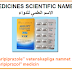 "Aripiprazole" vetenskapliga namnet "aripiprazol" medicin