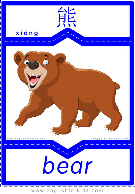 Bear - English-Chinese flashcards for wild animals topic