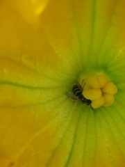 IMG_2931