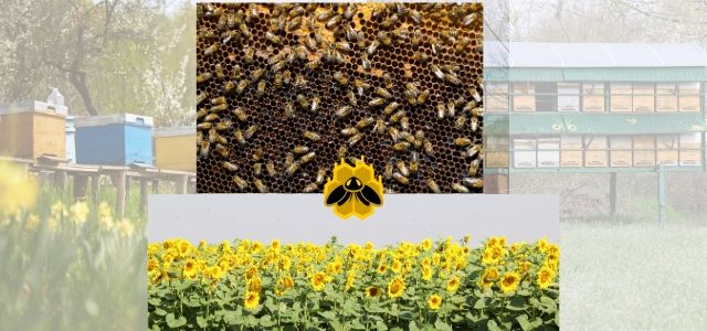 Uzbekistan's Bee Keeper highest graph on Beekeeping 