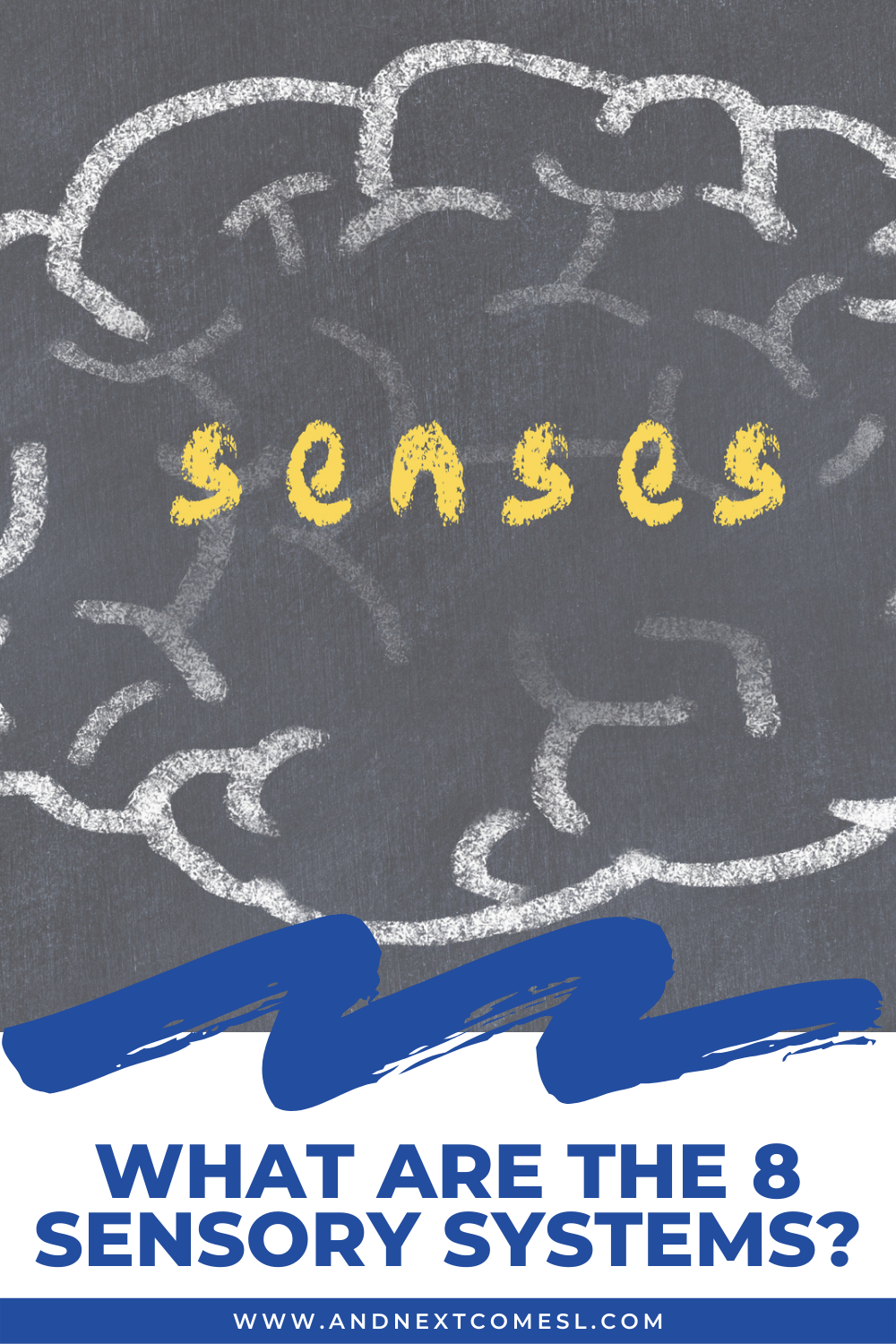 What are the 8 sensory systems? Click to learn more about the 8 senses