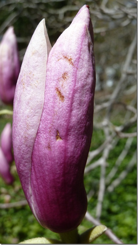 P1060944