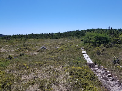 ECT Mudder Wet Path Newfoundland.