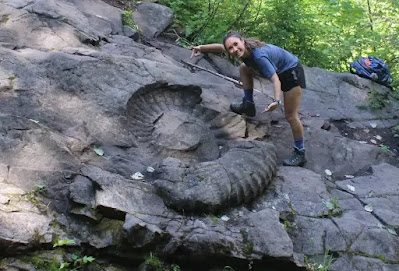 The "Fossil Truck Tire"