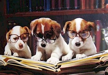 Ruff Readers