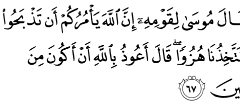 Alquran Daily - surah : Al-Baqarah ,    سورة البقرة   , ayat :  67 (2) -  67 (2)