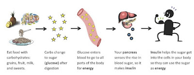 Diabetes - Insulin functionality