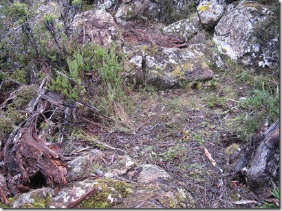 Site A   view west After