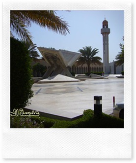 pic20080