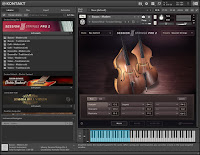 Native Instruments - Session Strings Pro 2 Screenshot 4
