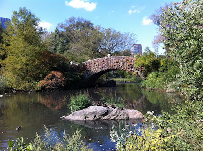 The pond, central park