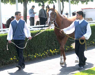 yelhan dan at yarışı tarihinin en büyük bombası