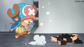 ワンピースアニメ パンクハザード編 581話 チョッパー かわいい Tony Tony Chopper | ONE PIECE Episode 581