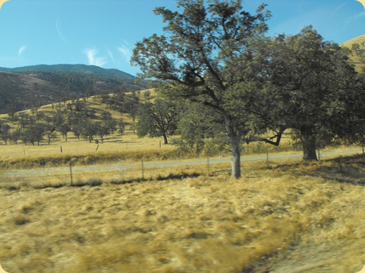 Drive to Las Vegas 023
