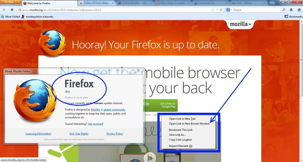 [Image: firefox_20_new_private_browsing_window%2...imgmax=800]