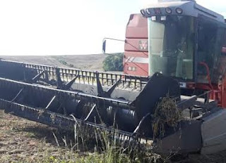 COLHEITADEIRA MATA MENINO INDÍGENA EM MANOEL RIBAS 